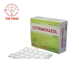 Cotrimoxazol Armephaco - Thuốc điều trị nhiễm khuẩn